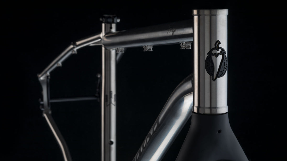 Salsa fargo frameset clearance
