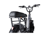 RadRunner 3 Passenger Package - Rad Power Bikes now available at bathoutdoors.co.uk