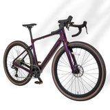 Estarli G700 Carbon Fibre eGravel Bike