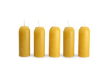 UCO Original / Candle 5pk Beeswax 12 Hour Candles