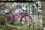 Surly Krampus - Prickly Pair - Frameset