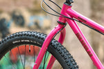 Surly Krampus -Prickly Pair - Frameset