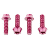 Wolf Tooth Water Bottle Cage Bolts
