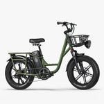 Hire Fiido T1 Pro Utility Electric Bike - Bath Ebike Hire