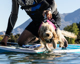 Stunt Puppy - Float Doggy PFD Buoyancy Aid - Secure, balanced & comfortable flotation for Dogs.