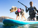 Stunt Puppy - Float Doggy PFD Buoyancy Aid - Secure, balanced & comfortable flotation for Dogs.