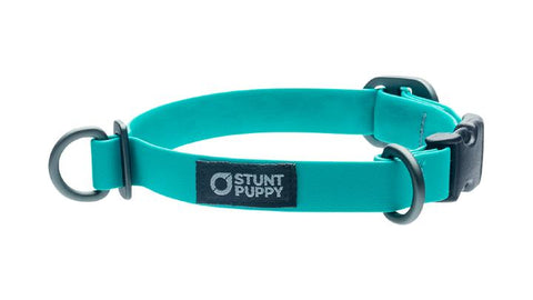 Stunt Puppy - Dry Collar is designed for dogs on the move. Waterproof. Stinkproof. Our Dry Collar™ sets the standard for hunting, field and water dogs. Constructed from BioThane®, a virtually indestructible material, our Dry Collar it's perfect for its flexibility in cold weather. This lightweight, durable collar begs to be pushed to the limit.
