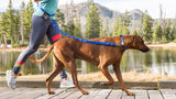 Stunt Puppy - Stunt Runner - Dog leash is built for the road, track, trail or sidewalk, the super-lightweight Stunt Runner™ keeps you and your dog in sync and your hands free.